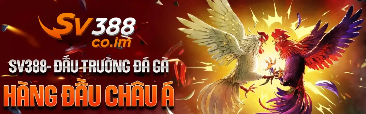 banner sv388 co im dau truong da ga hang dau chau a Sv388 đấu trường đá gà hàng đầu châu á